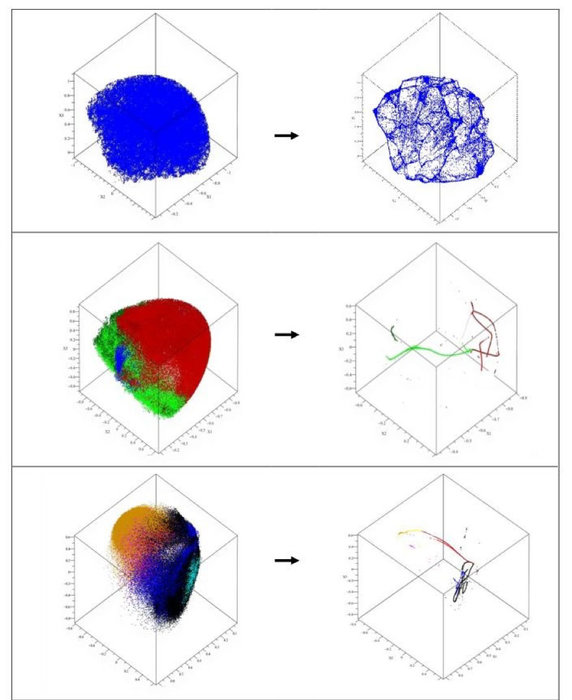 Forscher in der Quantenmechanik setzen Maple zur gezielteren Krebstherapie ein